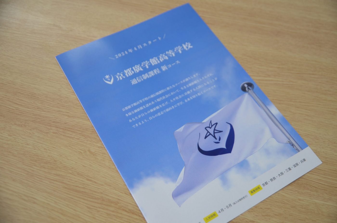 アナセプティルのリーフレット