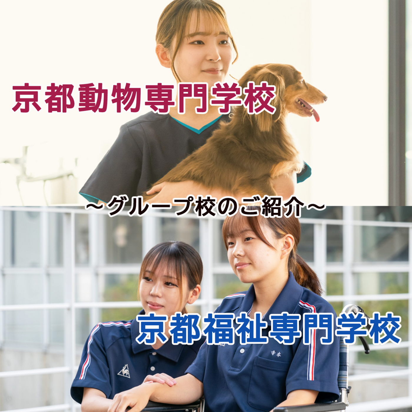 国家試験合格率100％ グループ校がスゴい！