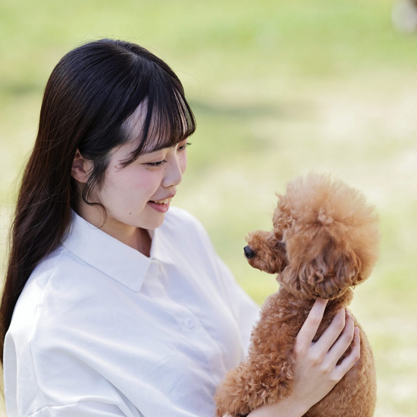 「好き」を仕事に。グループ校.京都動物専門学校
