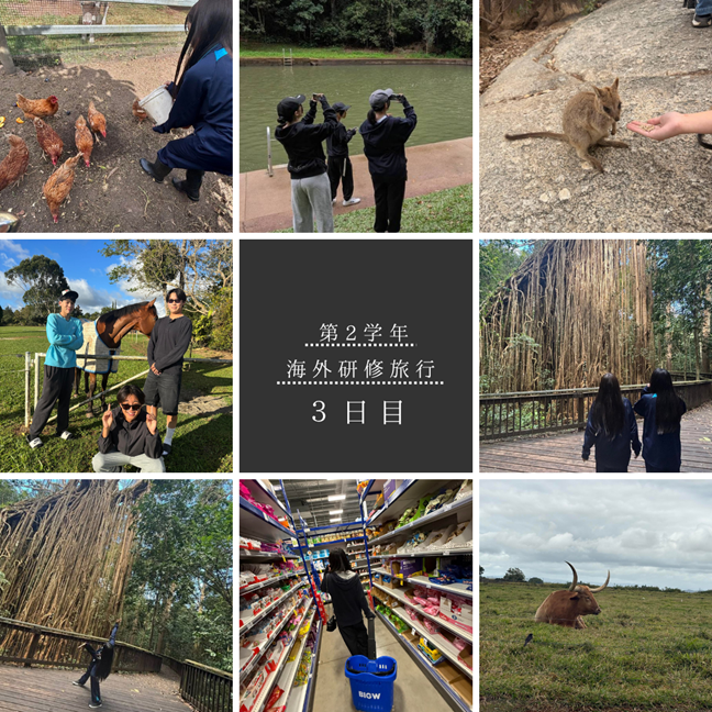 第２学年 海外研修旅行（３日目）
